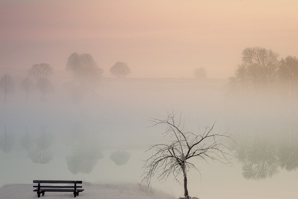 brouillard2022-2.jpg