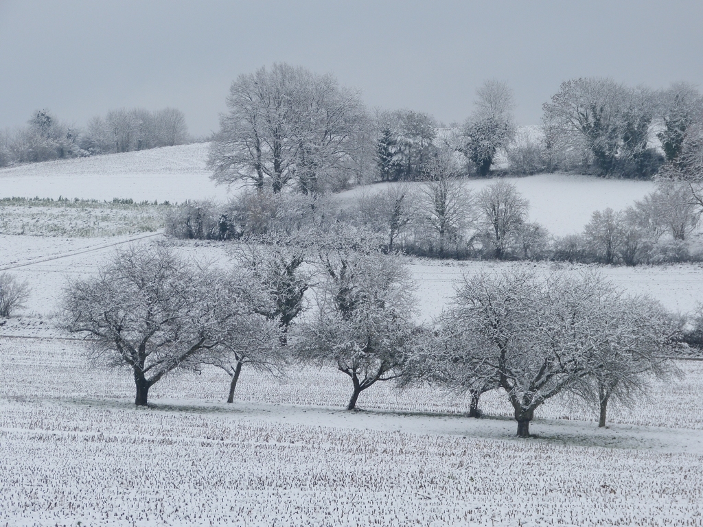 froid2021-5.jpg