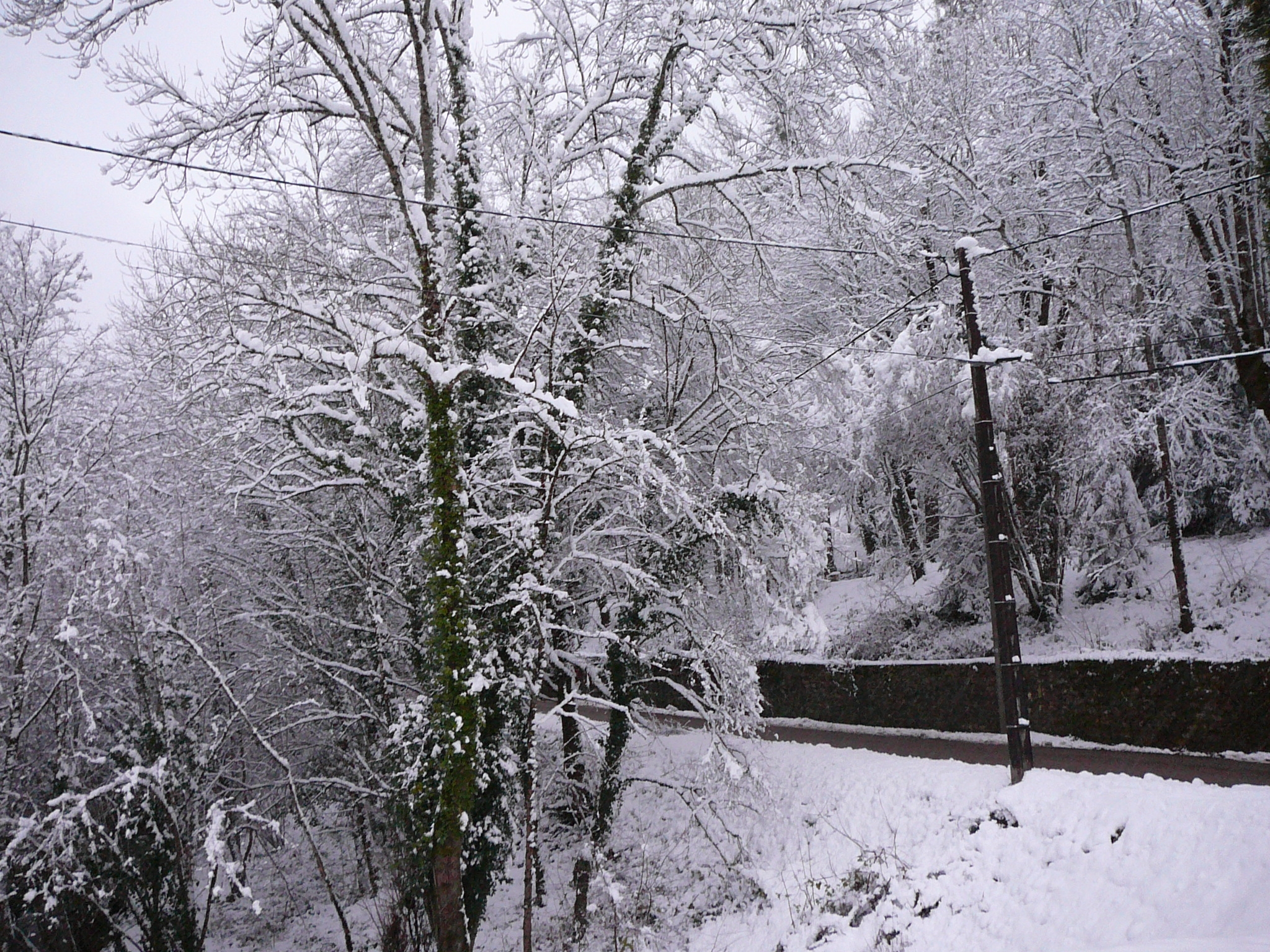 neige2021-2.jpg