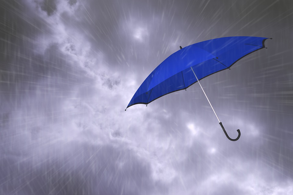parapluie2021-3.jpg