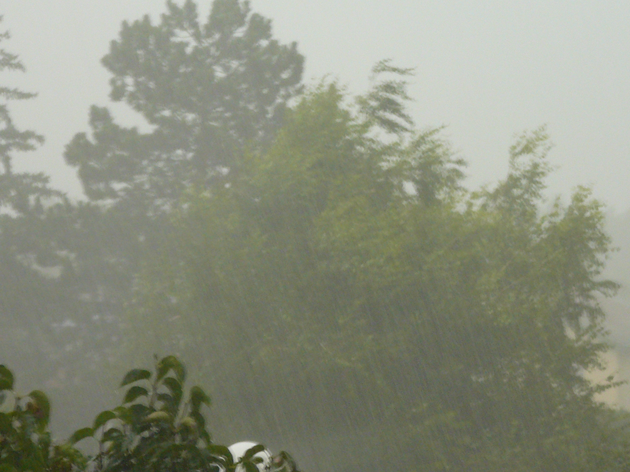 pluie2021-2.jpg
