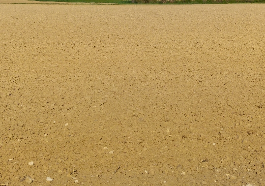 sec2021.jpg