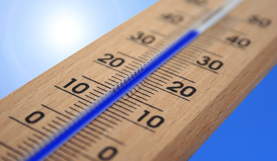 canicule2023-6.jpg