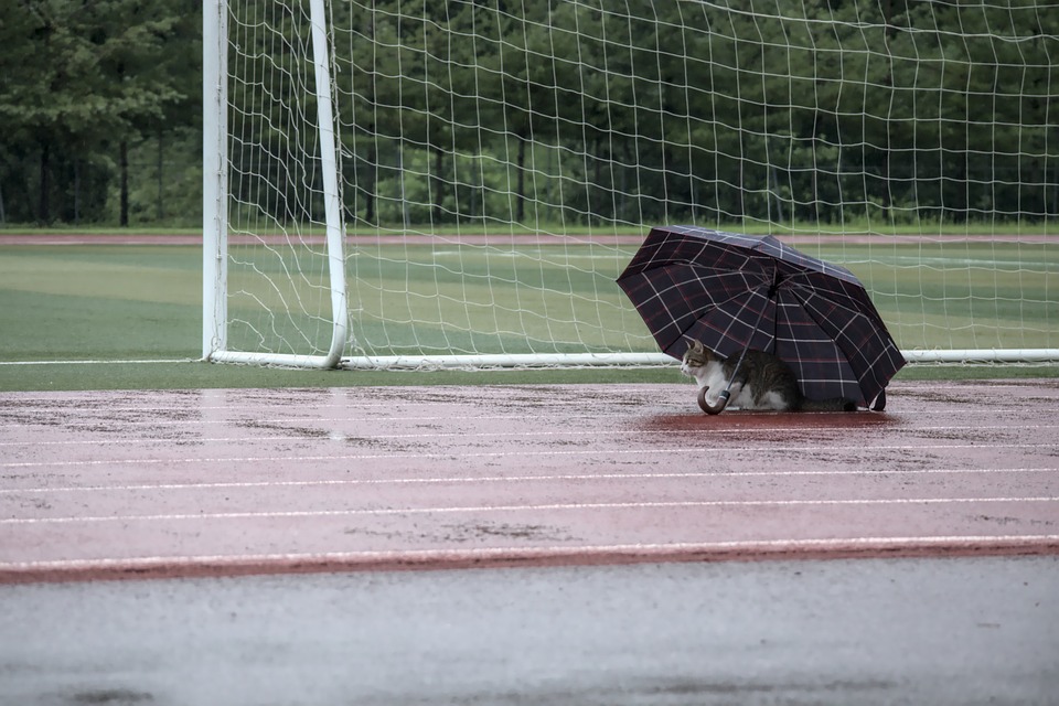 parapluie2023-3.jpg
