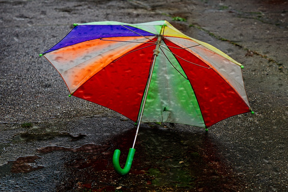 parapluie2024-3.jpg