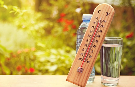 canicule2018-3.jpg