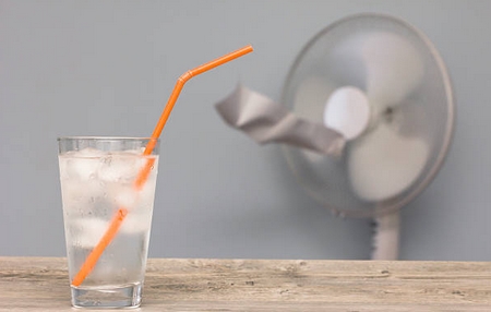 canicule2018-6.jpg