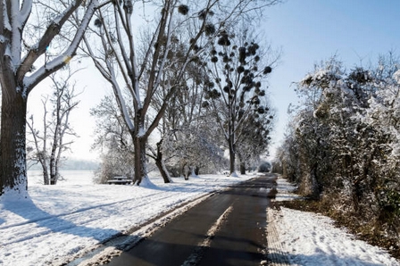 froid2019-8.jpg