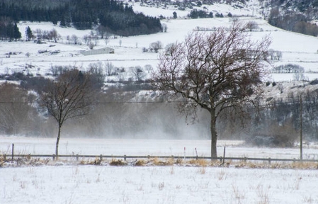froid2019.jpg