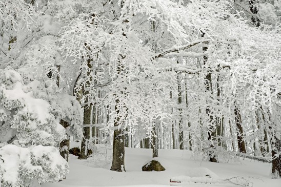 hiver4.jpg