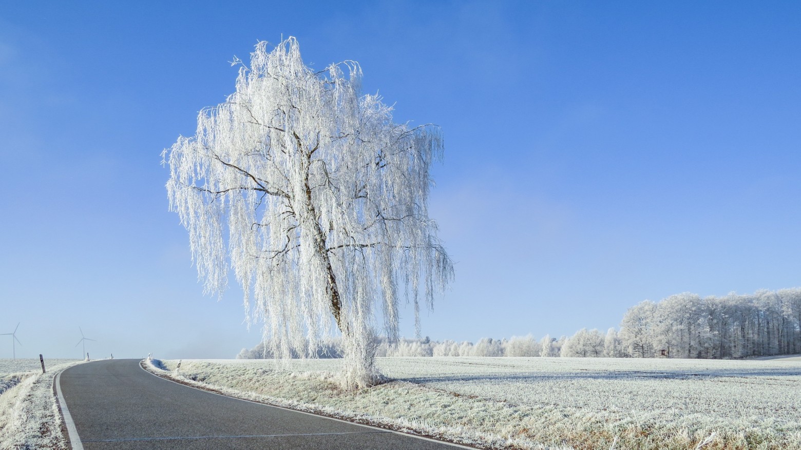 hiver7.jpg