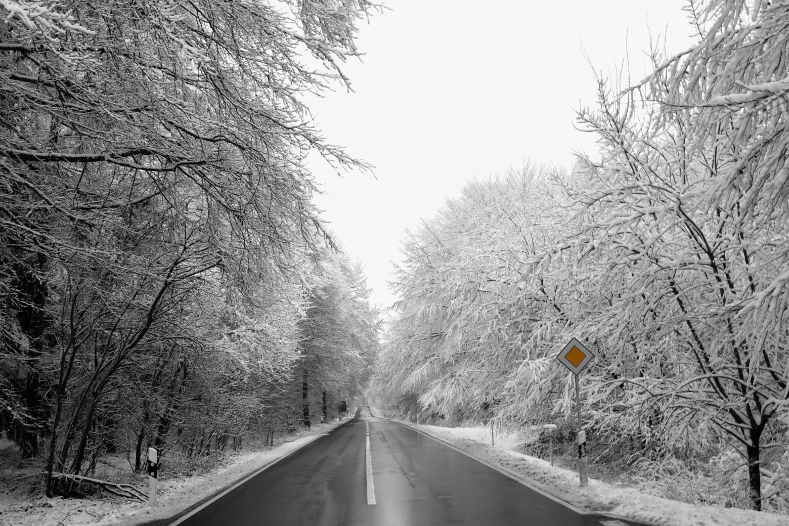 hiver8.jpg