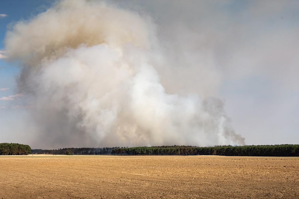 incendie2022.jpg