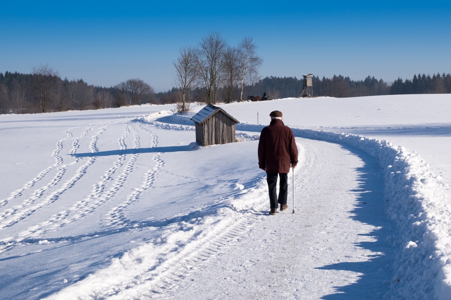 neige2019-4.jpg