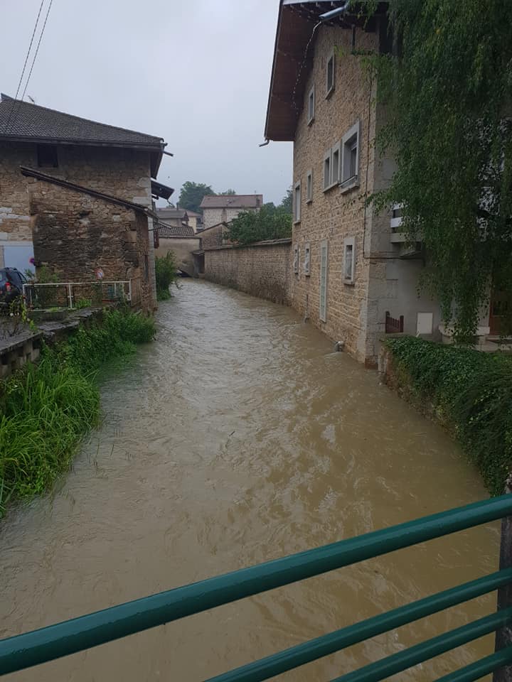 oiselon15072021.jpg