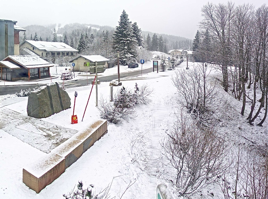 colfaucille12032025.jpg