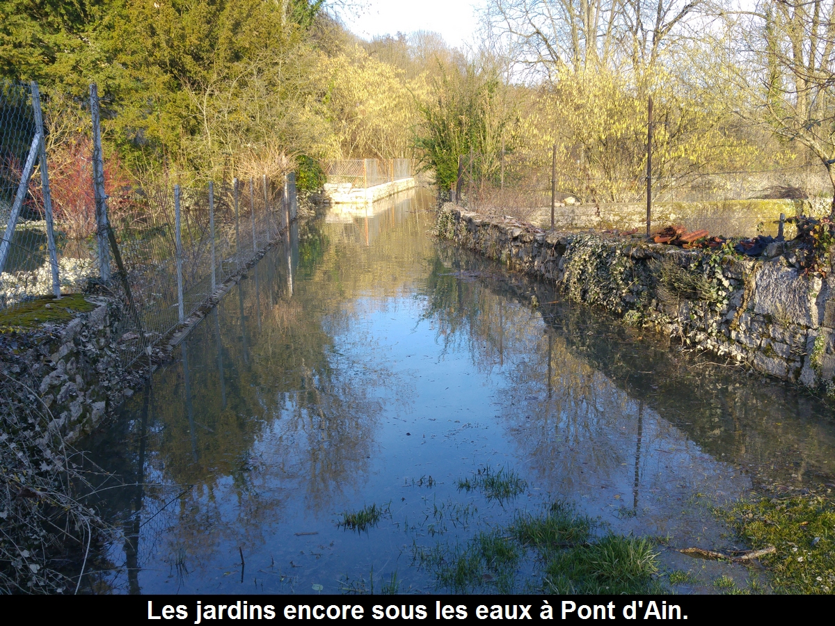 ain24012018-2.jpg