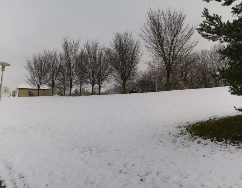amberieu14022018-14.jpg