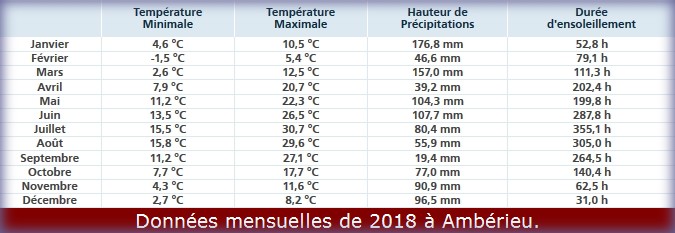 amberieu2018.jpg