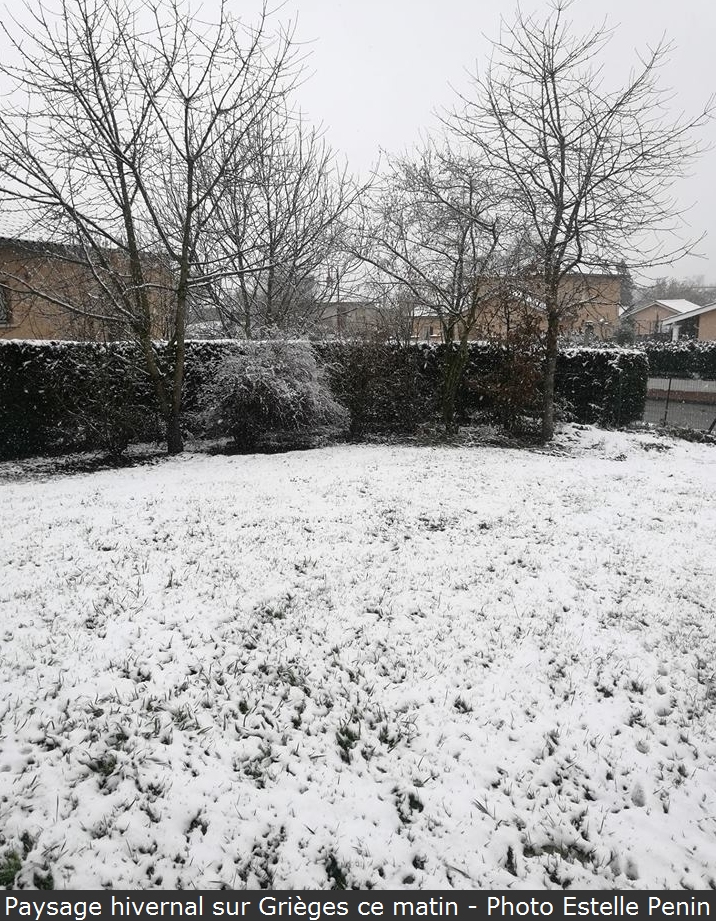 grieges05022018.jpg