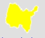 jaune.jpg