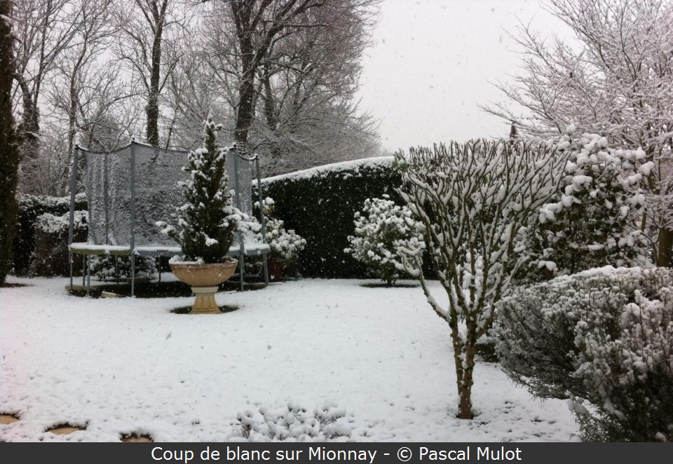 mionnay05022018.jpg